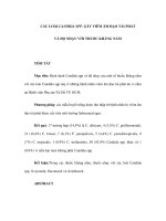 CÁC LOÀI CANDIDA SPP. GÂY VIÊM ÂM ĐẠO TÁI PHÁTVÀ ĐỘ NHẠY VỚI THUỐC KHÁNG NẤM pot