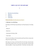 CHIẾN LƯỢC XÚC TIẾN HỖN HỢP 1 pdf