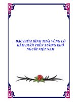 ĐẶC ĐIỂM HÌNH THÁI VÙNG LỖ HÀM DƯỚI TRÊN XƯƠNG KHÔ NGƯỜI VIỆT NAM ppt