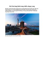 Sài Gòn lung linh trong chiều chạng vạng pdf