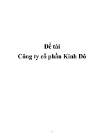 Đề tài: Công ty cổ phần Kinh Đô docx