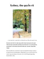 Sydney, thu quyến rũ pps