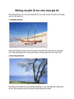 Những chuyến đi mơ ước mùa giá rét potx