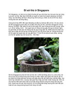 Đi sở thú ở Singapore doc