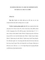 SO SÁNH SỰ ĐỔI MÀU CỦA MỘT SỐ COMPOSITE DƯỚI TÁC DỤNG CỦA TRÀ VÀ CÀ pptx