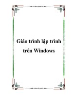 Giáo trình lập trình trên Windows docx