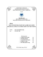 Phân tích đánh giá kết quả và hiệu quả kinh doanh của công ty cổ phần thủy sản Việt Thắng