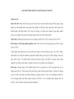 CAP HỖ TRỢ TRONG NỘI SOI ĐẠI TRÀNG pdf