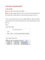 Trộn văn bản trong Word 2007 pot