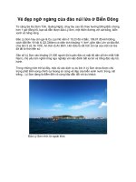 Vẻ đẹp ngỡ ngàng của đảo núi lửa ở Biển Đông pdf