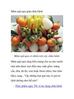 Mâm ngũ quả giúp chữa bệnh ppsx