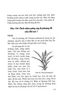 Hỏi đáp kỹ thuật nuôi trồng hoa và cây cảnh tập 2 part 9 docx