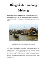 Bồng bềnh trên dòng Mekong pdf