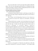 quá trình chế biến yaourt trái cây từ sữa bò tươi p5 pptx