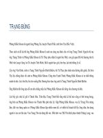 CÁC CỤ TRẠNG VIỆT NAM - TRẠNG BÙNG - TRẠNG MỐ potx