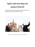 Ngắm cảnh mùa đông trên quảng trường Đỏ pptx