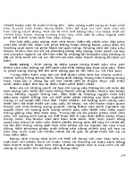 Kỹ thuật nuôi trồng cấy Lan part 2 pdf