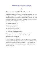 CHIẾN LƯỢC XÚC TIẾN HỖN HỢP 2 pps