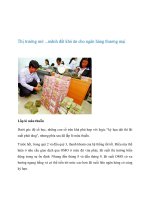 Thị trường mở ...mãnh đất khó ăn cho ngân hàng thương mại ppsx