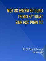 Một số Enzym sử dụng trong kỹ thuật sinh học phân tử doc