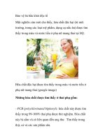 Bảo vệ bà bầu khỏi độc tố pot