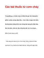 Các bài thuốc từ cơm cháy potx