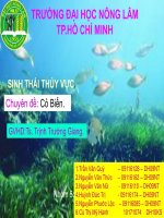Báo cáo: sinh thái thủy vực chuyên đề cỏ biển pdf