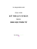 KỸ THUẬT CƠ BẢN TRONG SINH HỌC PHÂN TỬ part 1 pdf