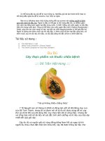 quá trình hình thành từ điển thảo mộc dược học p9 ppt