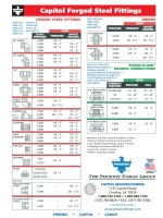 Capitol Forged Steel Fittings pptx