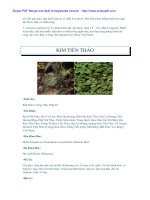 Sổ tay cây thuốc và vị thuốc đông y - Phần 7 docx