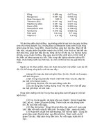 quá trình hình thành từ điển thảo mộc dược học p6 ppt