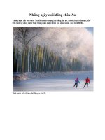 Những ngày cuối đông châu Âu pdf