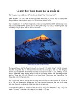 Có một Tây Tạng hoang dại và quyến rũ pot