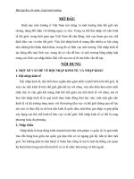 tác động của hội nhập kinh tế đến bảo vệ môi trường bằng pháp luật trong các lĩnh vực nhập khẩu