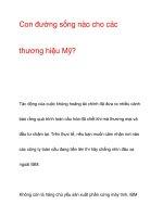 Con đường sống nào cho các thương hiệu Mỹ? pdf