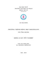 vat ly chat ran - phuong trinh boziman pot