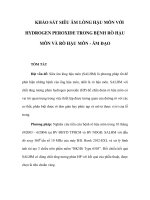 KHẢO SÁT SIÊU ÂM LÒNG HẬU MÔN VỚI HYDROGEN PEROXIDE TRONG BỆNH RÒ HẬU MÔN VÀ RÒ HẬU MÔN - ÂM ĐẠO doc