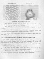Các phương pháp giám định đá quý part 2 pot