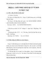 báo cáo tổng quan các thành phần kế toán trong doanh nghiệp công ty cổ phần thương mại và xuất nhập khẩu hà thành