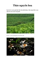 Thảo nguyên hoa pptx