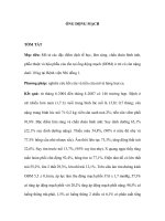 ỐNG ĐỘNG MẠCH ppt