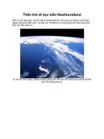 Thẫn thờ đi dọc biển Newfoundland potx