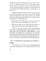 Hỏi đáp kỹ thuật nuôi trồng hoa và cây cảnh tập 1 part 3 doc