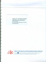 công ty cổ phần vicem thương mại xi măng báo cáo tài chính cho năm tài chính kết thúc 31 tháng 12 năm 2012 đã được kiểm toán