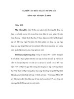 NGHIÊN CỨU ĐIỀU TRỊ GÃY XƯƠNG DÀI BẰNG NẸP TỔ HỢP CÁCBON pot