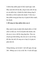 4 nhóm thực phẩm giúp trẻ khỏe mạnh ngày xuân potx