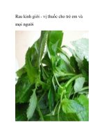 Rau kinh giới - vị thuốc cho trẻ em và mọi người pdf