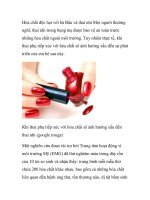 Hóa chất độc hại với bà Bầu và thai nhi pot