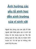 Ảnh hưởng các yếu tố sinh học đến sinh trưởng của vi sinh vật pot